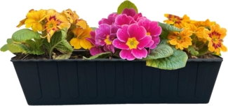 Hossi's Wholesale 10 Euro-Paletten Blumenkästen-Einsätze | 37,3cm Anthrazit | Pflanzkasten für Europalette Palette | Balkonkasten | Blumentopf | aus stabilen Kunststoff | Made in Germany