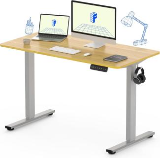 FLEXISPOT Basic Plus Elektrisch Höhenverstellbarer Schreibtisch (160 x 80 cm) mit Tischplatte 2-Fach-Teleskop, Sitz- & Stehpult mit Memory-Steuerung (ahorn+grau Gestell)