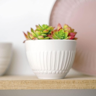 Becher Blossom 11x8 cm it's my match powder Villeroy und Boch Becher - Mikrowelle geeignet, Spülmaschinenfest