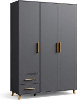 rauch Drehtürenschrank Kleiderschrank Schrank Garderobe Wäscheschrank SHINJO (in 3 verschiedenen Ausstattungen BASIC/CLASSIC/PREMIUM) Griffe und Füße aus Massivholz mit 2 Schubladen MADE IN GERMANY