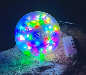 Northpoint LED-Lichterkette LED Effektlichterkette mit Musiksensor 100 LEDs IP44 10m lang Timer