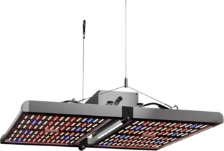 Caluma LED Grow Lampe Force 320 W, 59,5 x 60 x 11 cm, 2,7 µmol/J, 830 µmol/s