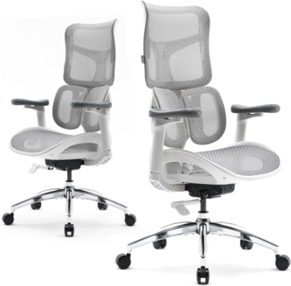 SIHOO Bürostuhl Ergonomischer-Mit Dualer Dynamischer Lordosenstütze, Schreibtischstuhl with 5-Fach Verstellbarer Rückenlehne, Office Chair with 4D-koordinierten Armlehnen(S100 Weiß)
