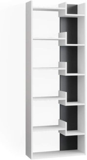 Vicco Raumteiler Anthrazit 61 x 160.2 cm, Fico