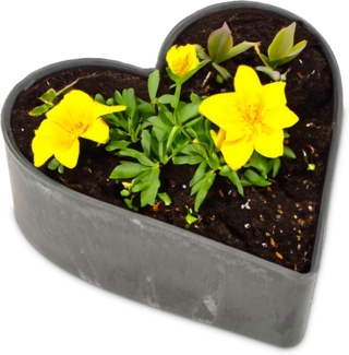 matches21 HOME & HOBBY Blumentopf Herz Pflanzschale Vintage schwarz 22x20 cm Grabschmuck (1 St), Outdoor Blumen-Schale als Garten-Deko wetterfeste Grabschale