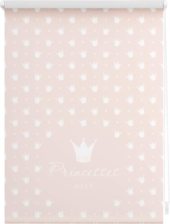 Seitenzugrollo Klemmfix Motiv Prinzessin Lilly, LICHTBLICK ORIGINAL, Lichtschutz, ohne Bohren, freihängend, Klemmfix, bedruckt