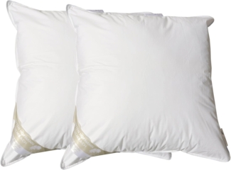 2 Stück Betten Hofmann Basic Allergiker Kopfkissen Faserkissen 65x65 cm 600 g