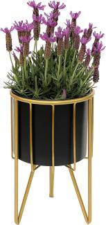 DanDiBo Blumenhocker mit Topf Metall Gold Schwarz Rund S 32 cm Blumenständer 96039 Blumensäule Modern Pflanzenständer Pflanzenhocker