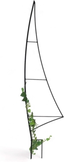 DanDiBo Rankhilfe Garten Metall Schwarz Segel Rankgitter Blumen Kletterpflanzen Rosen Bodenstecker Kletterhilfe Blumenhalter Ranksäule