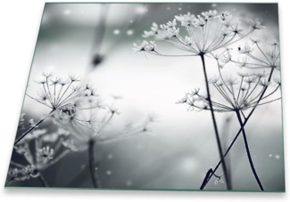 Decorwelt Herd-Abdeckplatte Pusteblume Grau, (1 tlg), für alle Herdarten excl. Gasherde