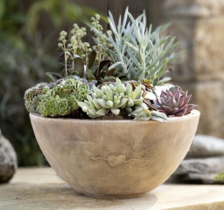 Pflanzschale "Herz" aus Terracotta mit Antik Finish, Ø 32 cm, Blumenschale, Pflanzgefäß, Gartendeko für Draußen