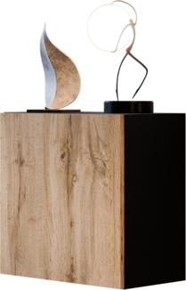 Vitrine Quadrat Cholon (Farbe: Schwarz / Wotan Eiche)