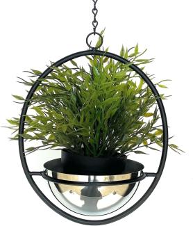 DanDiBo Blumenampel Innen Metall Wand Hängepflanzen 43 cm 96087 S mit Topf Silber Pflanzenhänger Blumenhänger Topfhänger Blumen Blumentopfhänger Hängetopf