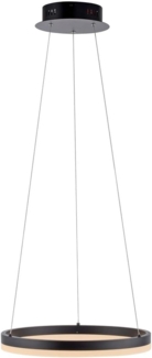 Paul Neuhaus 2381-13 TITUS Pendelleuchte 40 anthrazit