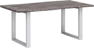 Esstisch Bullwer, Grau 75 x 90 x 170 cm Silber