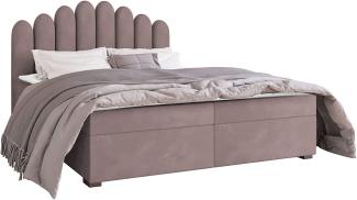 Mirjan24 Boxspringbett Tosian, Rosa, 180x200 cm