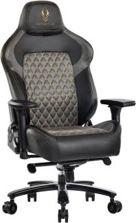 Fantasylab Gaming Stuhl 200KG Belastbarkeit Bürostuhl 200KG Verstellbare Armlehne 4D Gamer Stuhl mit Lendenwirbelstütze Chefsessel Ergonomischer Schreibtischstuhl Gaming Chair Schwarz/Grau