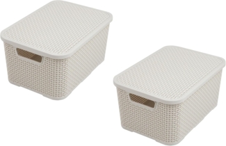 BranQ - Home essential Deckel Korb in Rattan Design 2er Set Grösse L 19l, Kunststoff PP, Creme, 19 l