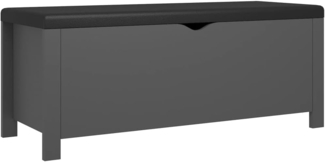 vidaXL Aufbewahrungsbox mit Kissen Grau 105x40x45 cm 3279328