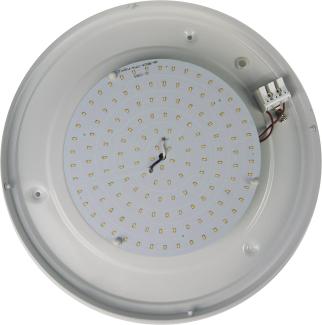 LED Deckenleuchte rund Ø 30cm, Opalglas matt, Nurglasleuchte