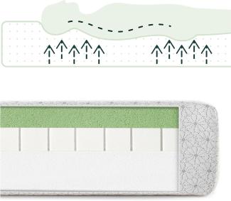 ZINUS Grüntee-Memoryschaum-Matratze | Anpassungsfähige orthopädische 7-Zonen-Matratze | 180 x 200 cm | Höhe 25 cm | H3-H4 Mittelfest | Boxmatratze | Druckentlastung | OEKO-TEX-zertifiziert