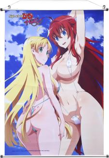Highschool DXD Hero Wallscroll Rias & Asia 60x86 cm