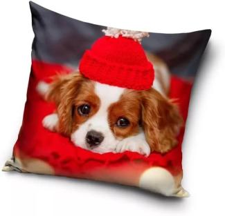 Kissenbezug 40x40 rot Weihnachtswelpe mit Mütze Hund Reißverschluss
