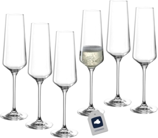 Leonardo PUCCINI Sektglas 280 ml 6er Set