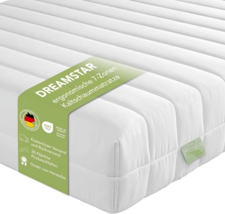 DREAMSTAR Easy Flex | ergonische 7-Zonen Kaltschaummatratze | Öko-Tex Zertifiziert | Härtegrad 2 und 3 (H2 & H3) | Rollmatratze 13 cm | Made in EU I 160x200 cm