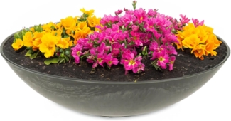 matches21 HOME & HOBBY Blumentopf Flache Pflanzschale für draussen Dekoschale rund schwarz 25 cm (1 St), Blumen-Schale als wetterfeste Friedhof-Schale Grab-Schmuck Grabschale
