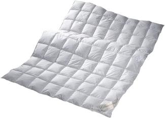Typ Eiderdaune Silverstar extra leichte Einziehdecke 155x220 cm Sommerdecke 90/10 Daune TES1