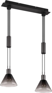 Höhenverstellbare Pendelleuchte STANLEY 2-flammig mit Rauchglas Schirmen B: 55cm