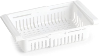 ZELLER Present ausziehbar Kühlschrankbox