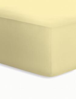 schlafgut Jersey-Elasthan Boxspring Spannbetttuch, Baumwoll-Mischgewebe, Kamille, 220 x 125 cm