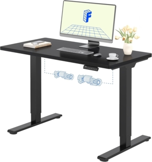 Flexispot E1 Elektrisch Höhenverstellbarer Schreibtisch mit Tischplatte 2-Fach-Teleskop, mit Memory-Steuerung (120x80 cm, Schwarz)