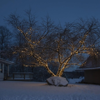 Lichterkette ,START', System 24, 98 LEDs, mit Trafo, warmweiß, 10m, 1,68W