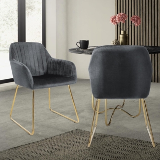 ML-DESIGN Stuhl Esszimmerstuhl mit Rücken- und Armlehnen Samtbezug ergonomisch (2 St), Wohnzimmerstuhl Grau, goldenes Metallgestell Küchenstuhl Sessel