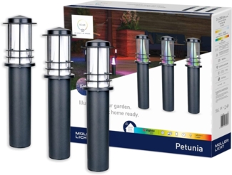 Müller Licht tint LED Wegeleuchte Petunia anthrazit 35 cm 3er RGBW Smart