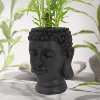 ML-DESIGN Blumentopf Pflanztopf Figur aus Kunstharz - Polyresin Pflanzgefäß Pflanzen Vase, Buddha Kopf Anthrazit massiv Übertopf Pflanzer Gartendeko
