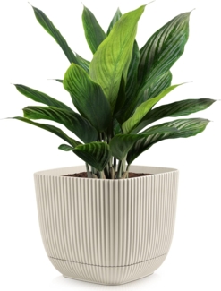 KONZEPT Blumentopf 2in1 Blumentopf mit Untersetzer Übertopf Kunststoff