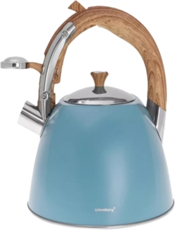 Klausberg Klausberg Wasserkocher aus lackiertem Stahl, 3,0 l, KB7499