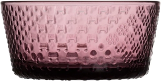 iittala Tundra Schale 25 cl violett