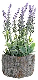 DKD Home Decor Blumentopf Lila Zement grün PVC Lavendel (9 x 9 x 26 cm)