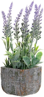 DKD Home Decor Blumentopf Lila Zement grün PVC Lavendel (9 x 9 x 26 cm)