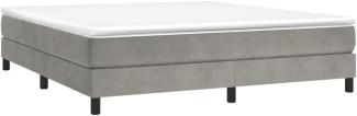 Boxspringbett Hellgrau 160x200 cm Samt [3120778]