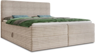 Boxspringbett Mollo mit 2 Bettkästen, Doppelbett mit Bonell-Matratze und Topper, Polsterbett in weichem Cordstoff, Bett, Bettgestell für Schlafzimmer (Beige (Tilia 03), 140 x 200 cm)