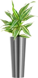 wuuhoo® Pflanzkübel Holly in Silber & Roségold aus Edelstahl - wetterfeste Bodenvase, Blumenkübel frostbeständig für Innen & Außen mit Pflanzeinsatz, Pflanzentopf - Maße: silber: 29 x 70 cm
