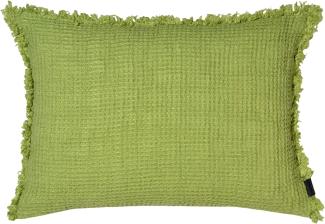 Zoeppritz Honeybee green 40x60 700350-650