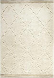 Hochflor Teppich Colin Beige - 200x290x2,2cm