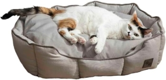 English Home Tierbett Katzenbetten für Innenkatzen, Haustierbett für Hunde und Katzen